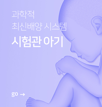 시험관 아기